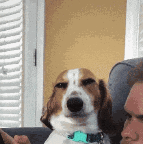 Smile GIF