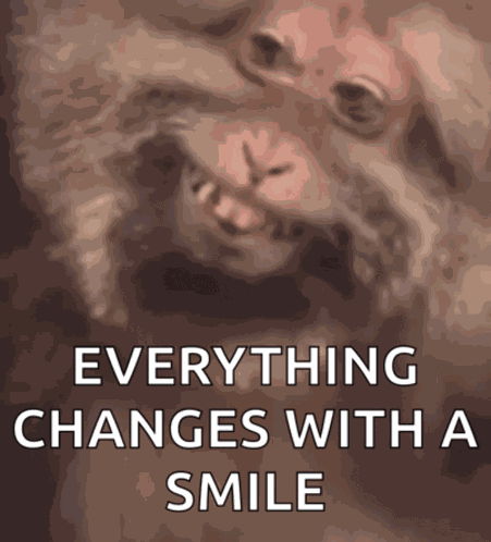 Smiling Monkey Monkey Smiling Meme