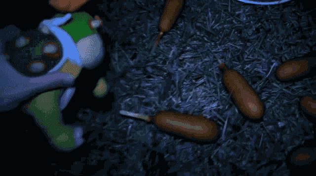 Sml Bowser Junior GIF