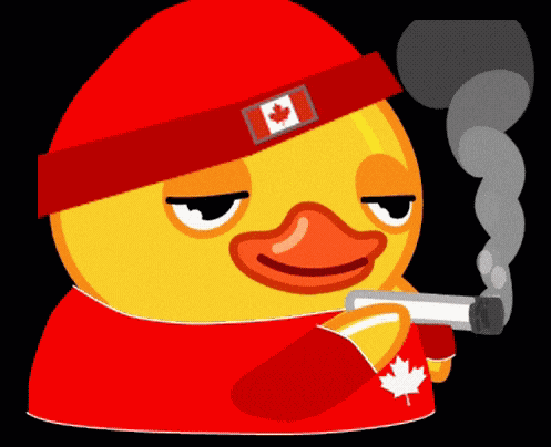 Smoking Duck Canada GIF