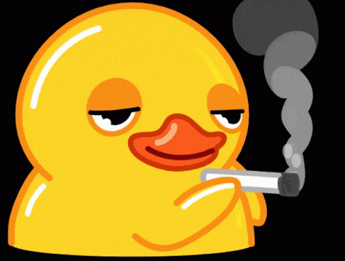 Smoking Duck Smh Duck GIF