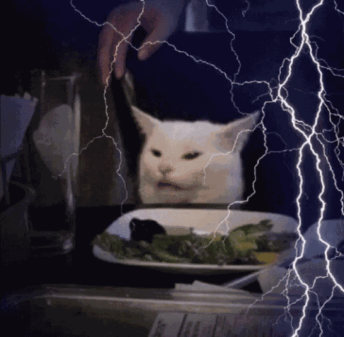 Smudge Smudge Cat GIF