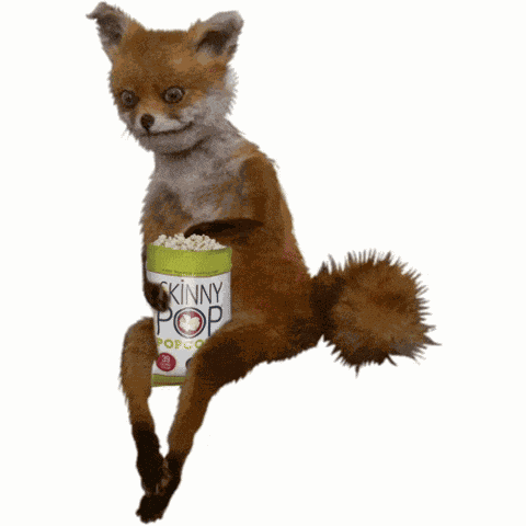 Snack Fox GIF