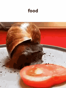 Snail GIF
