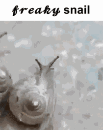 Snail Freaky GIF