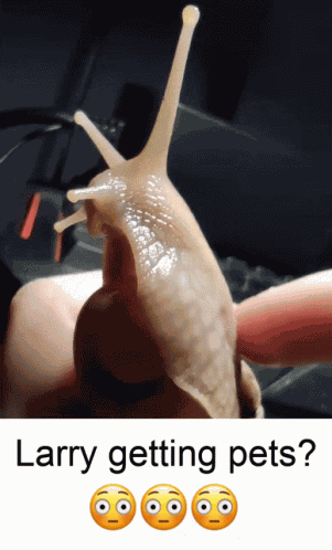 Snail Larrydasnail GIF
