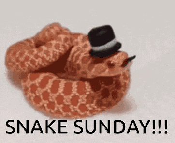 Snake GIF