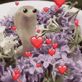 Snake Cute GIF