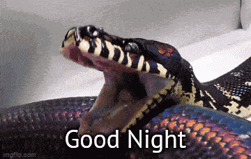 Snake Good Night GIF