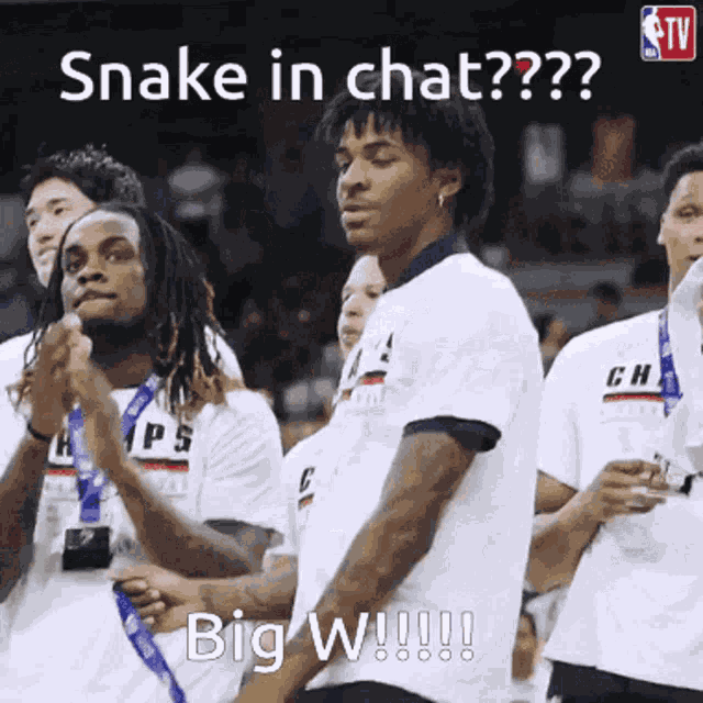 Snake In Chat Discord GIF