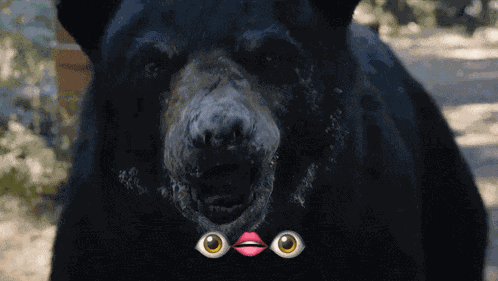 Sneezing Cocaine Bear GIF