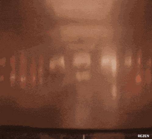 Snekkie Snekkies GIF