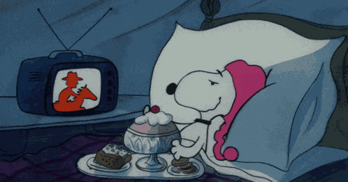 Snoopy Bedtime GIF