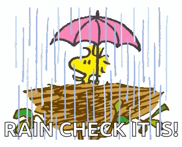 Snoopy Woodstock GIF