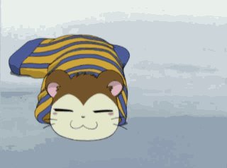 Snoozer GIF