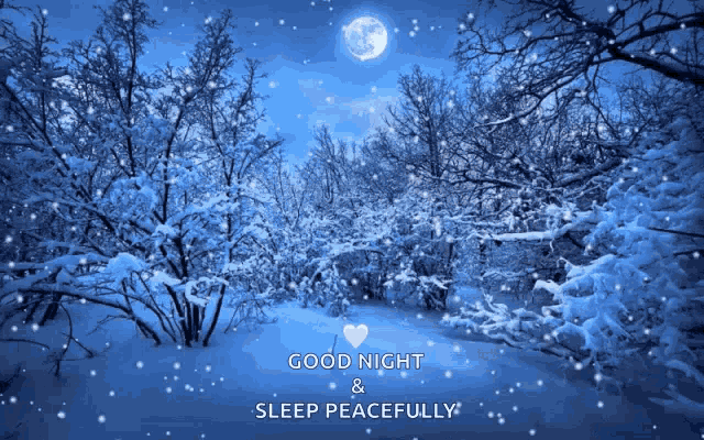 Snow Blowing Winter GIF