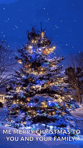 Snow Christmastree GIF