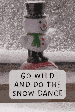 Snow Dance Bobble Head GIF