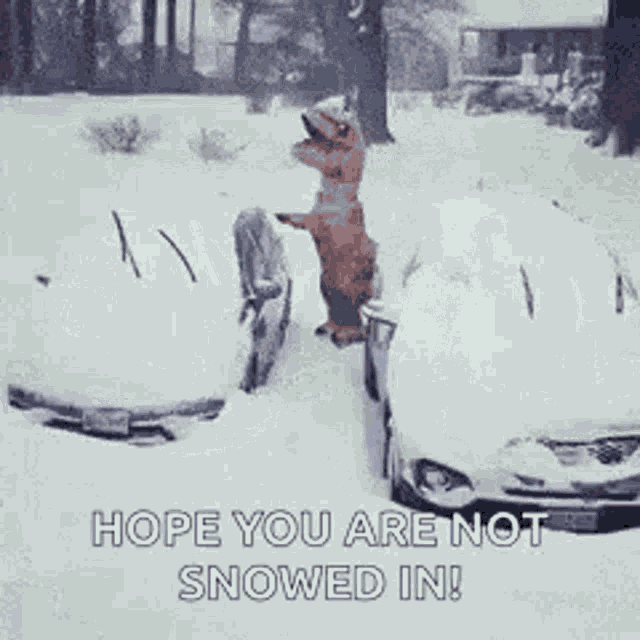 Snow Heavy GIF