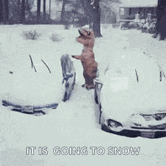 Snow Heavy Snow GIF