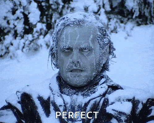 Snow Snow Day GIF