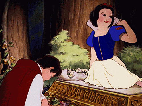 Snow White Disney Princess GIF
