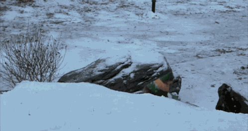 Snowball Fight Buddy GIF