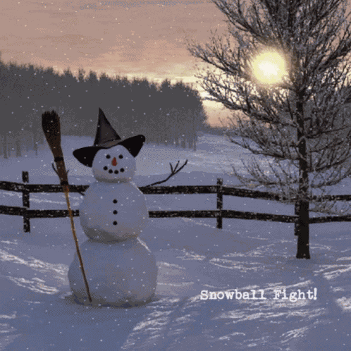 Snowball Fight GIF