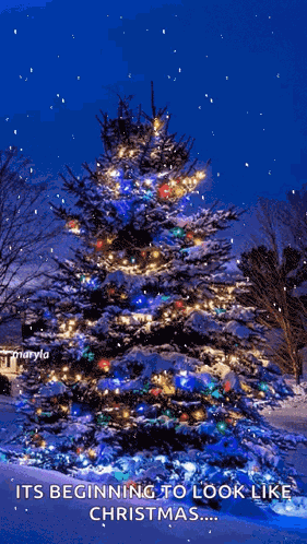 Snowing Christmas Snow GIF