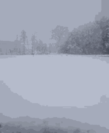 Snowing Cold GIF