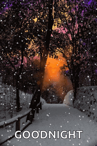 Snowy Day Winter GIF