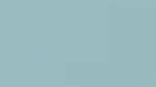 Snowy Owl Finance GIF