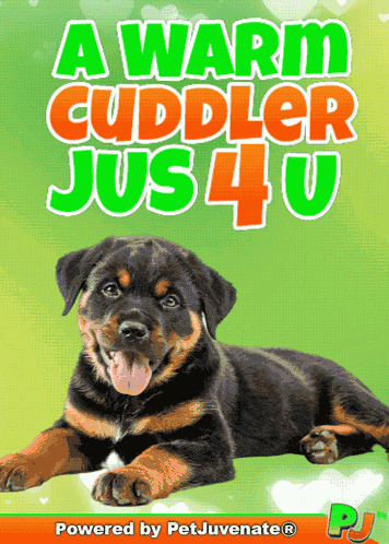 Snuggle Pup Puppy GIF