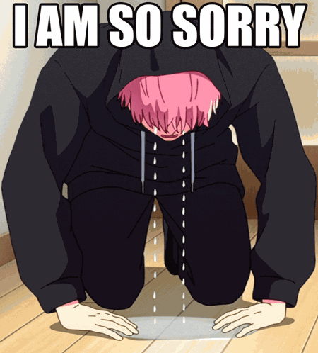 So Sorry My Fault GIF
