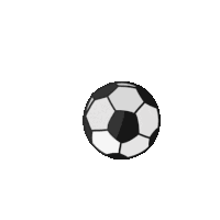 Soccer Sticker