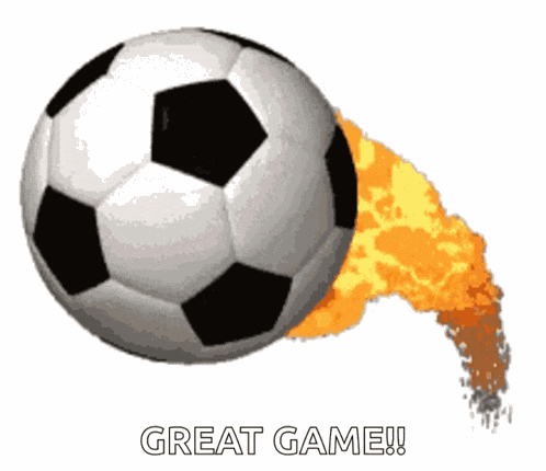 Soccer Goal Goalie GIF