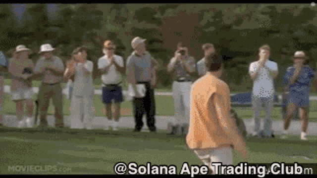 Solanaapetradingclub Satc GIF