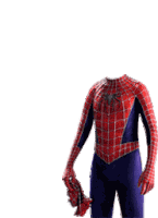 Solemon Spider Salman Khan Spider Man Sticker