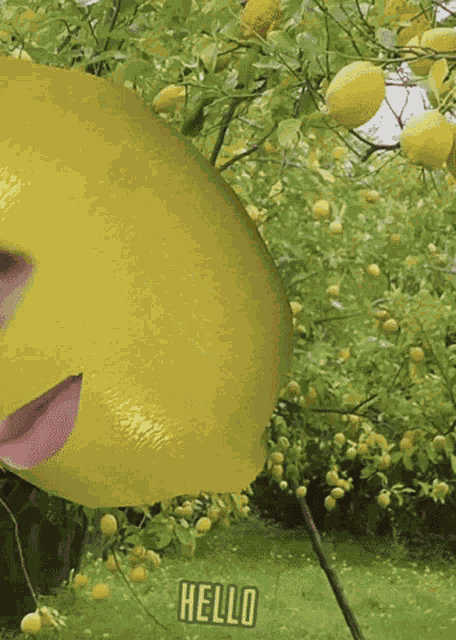 Son Tung Mtp Mt Pcute GIF