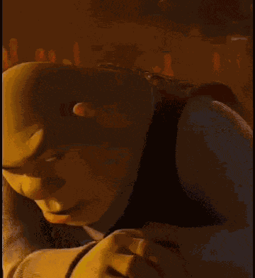 Sonfys Shrek GIF