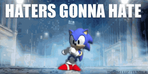 Sonic Haters Gonna Hate GIF