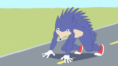 Sonic Meme GIF