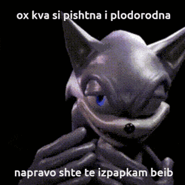 Sonic Pishtna GIF