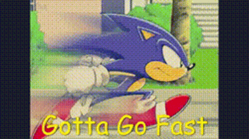 Sonic Sanic GIF