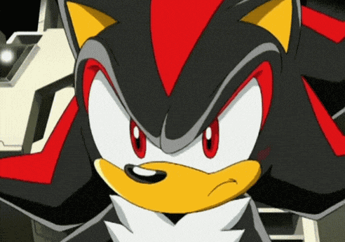 Sonic X Shadow The Hedgehog GIF