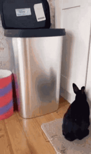 Soobkitty Rabbit GIF