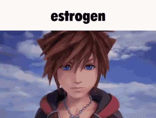 Sora Kairi GIF
