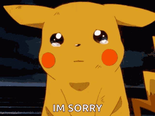 Sorry GIF
