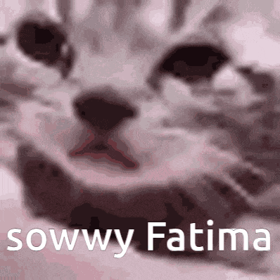 Sorry Fatima GIF
