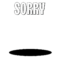 Sorry Im Sorry Sticker